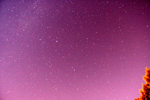Starfield Starfield
